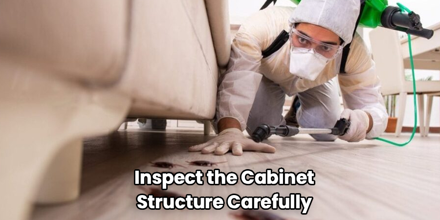 Inspect the Cabinet
Structure Carefully