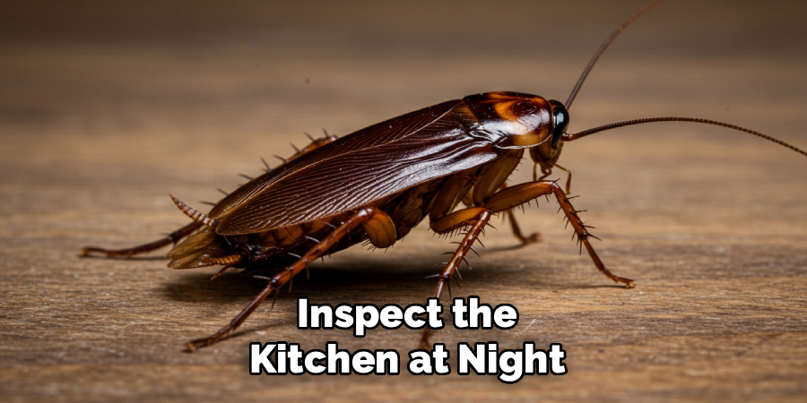 Inspect the Kitchen at Night