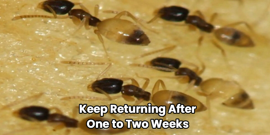 Keep Returning After
One to Two Weeks