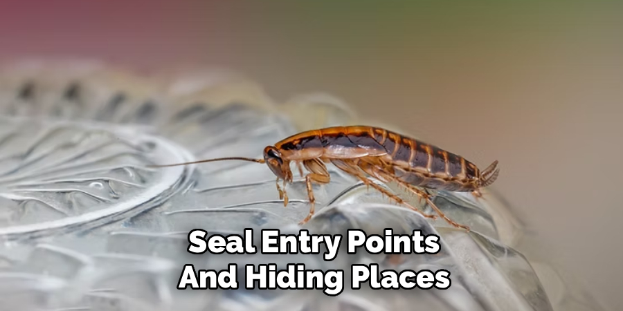 Seal Entry Points and Hiding Places