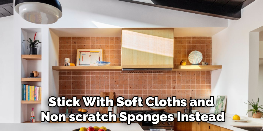 Stick With Soft Cloths and 
Non scratch Sponges Instead