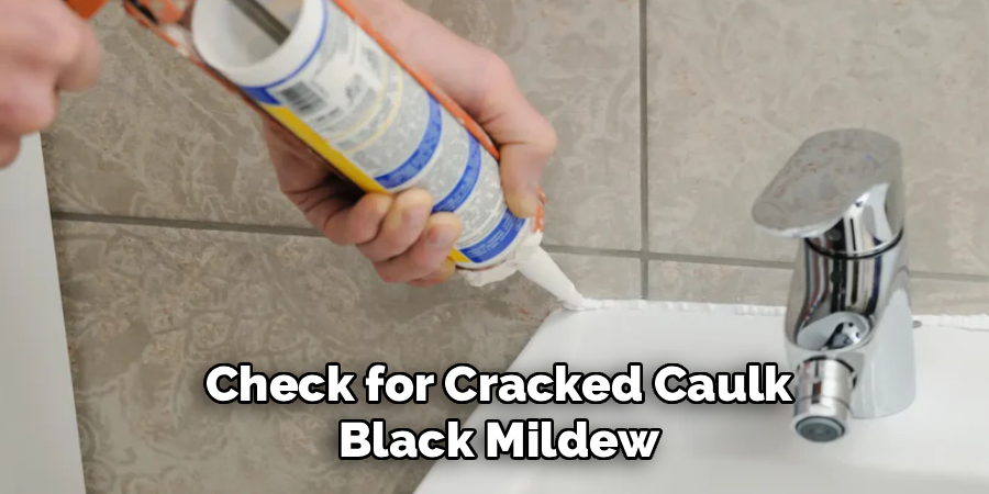 Check for Cracked Caulk
Black Mildew