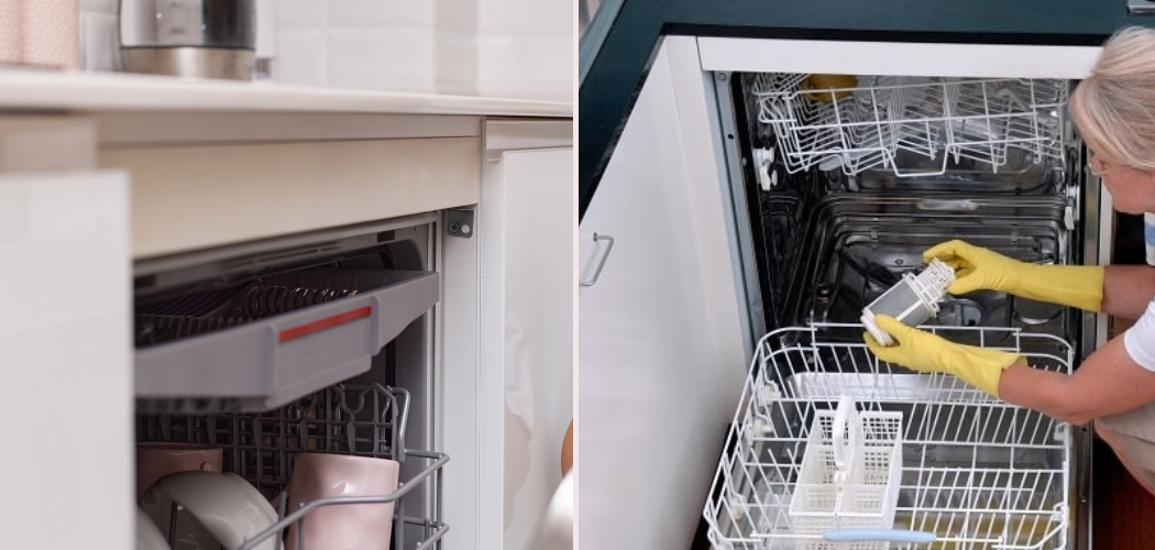 How To Get Rid Of Egg Smell In Dishwasher