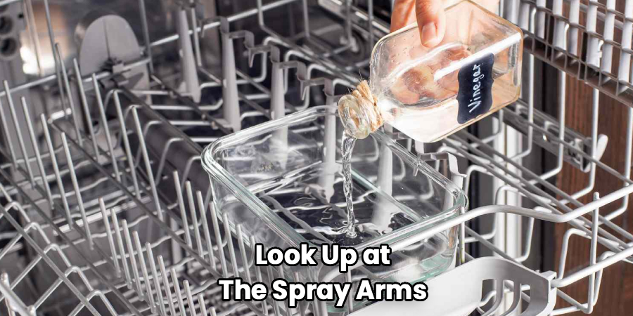 Look Up at
The Spray Arms