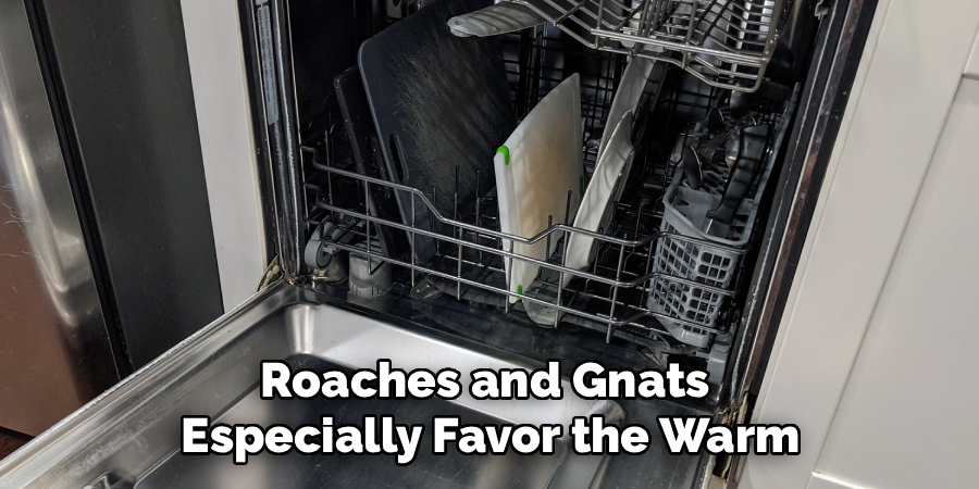Roaches and Gnats 
Especially Favor the Warm