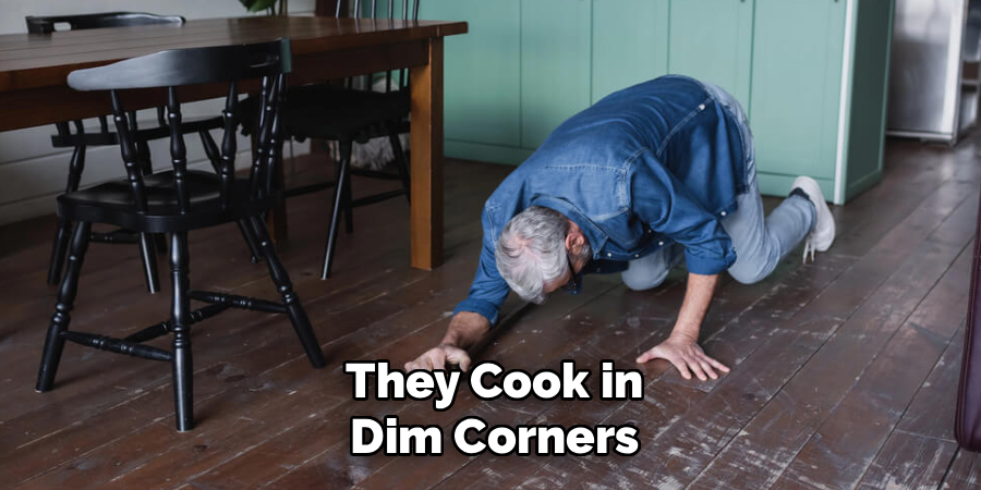 They Cook in
Dim Corners