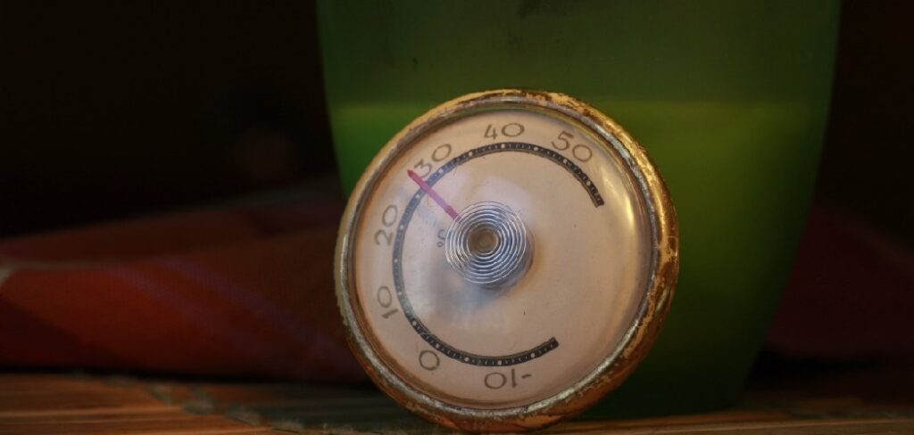 How to Use Oven Thermometer
